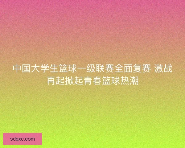 中国大学生篮球一级联赛全面复赛 激战再起掀起青春篮球热潮